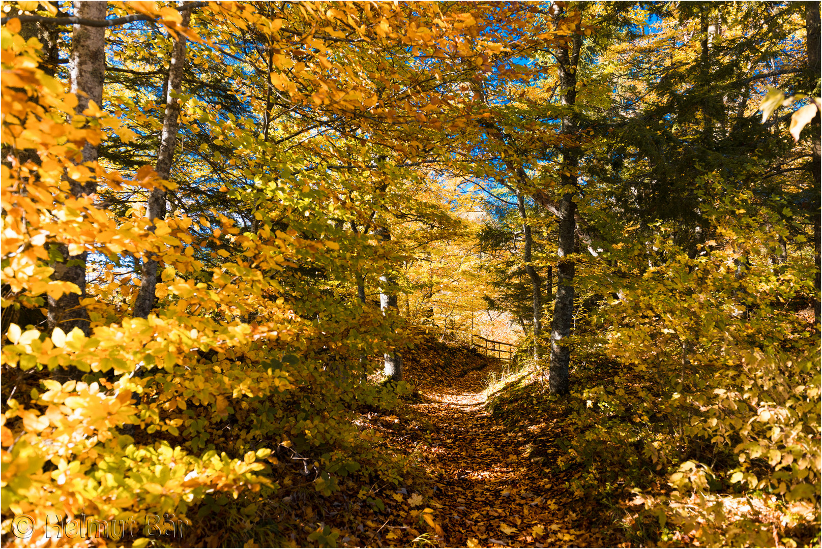 Herbst im Donautal