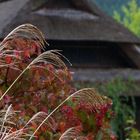 Herbst im Dorf