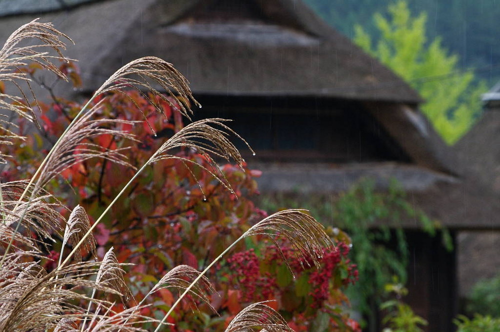 Herbst im Dorf