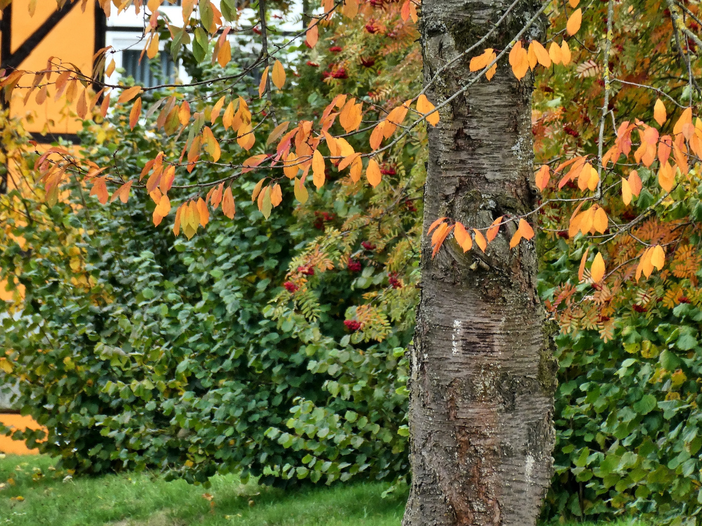 Herbst im Dorf