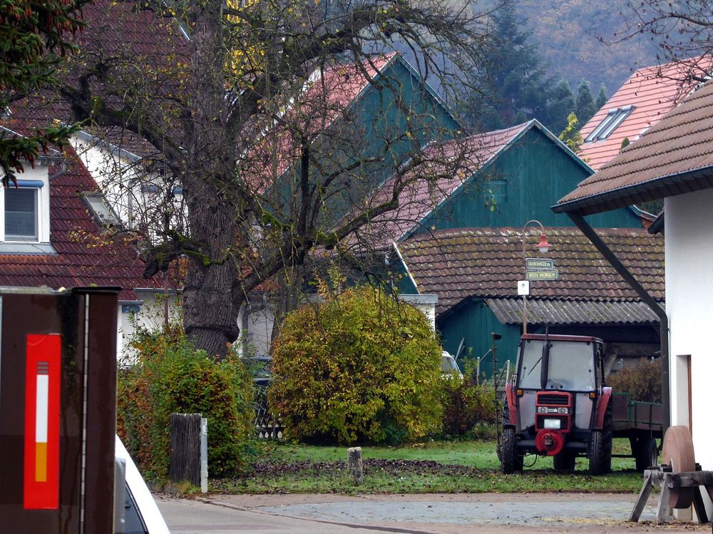 Herbst im Dorf