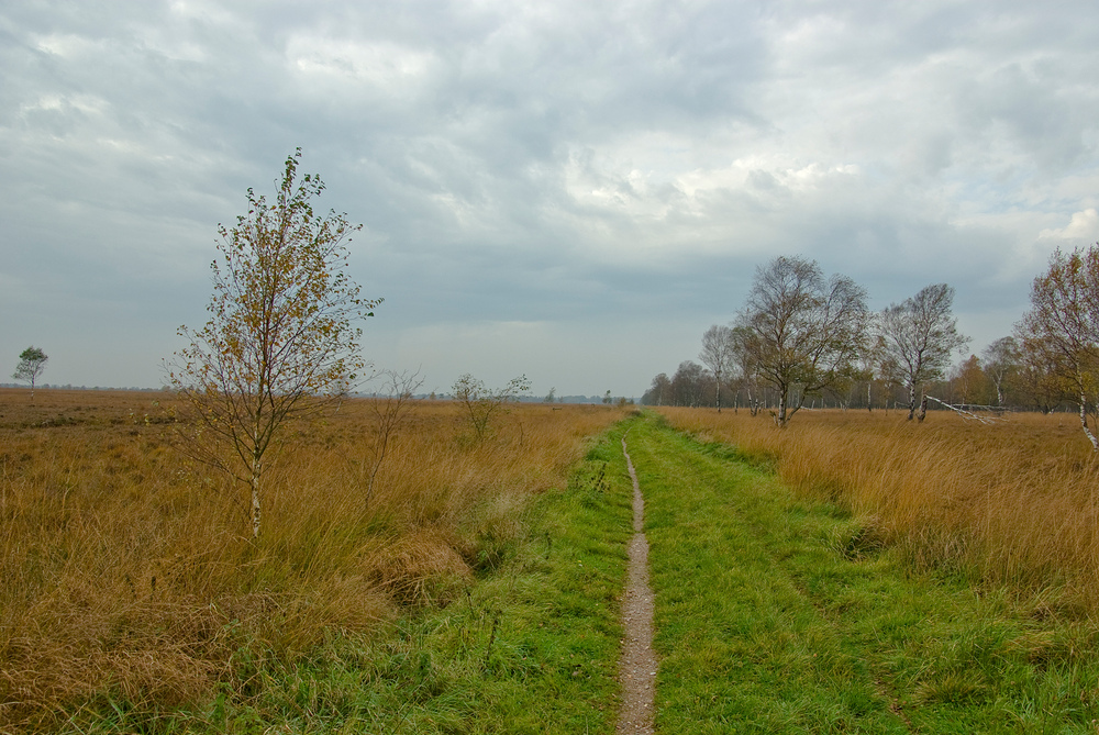 Herbst im Dosenmoor