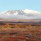 Herbst im Dovrefjell