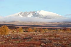 Herbst im Dovrefjell