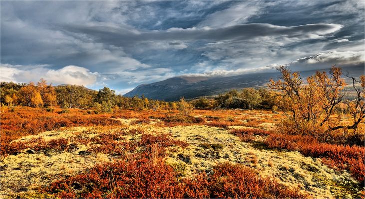 HERBST IM DOVREFJELL