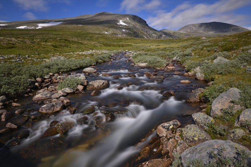 Herbst im Dovrefjell Nationalpark, Norwegen