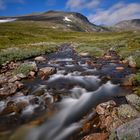 Herbst im Dovrefjell Nationalpark, Norwegen