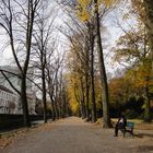 Herbst im Düsseldorfer Hofgarten