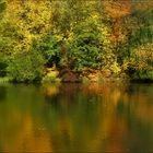 Herbst im Düsseldorfer Volksgarten