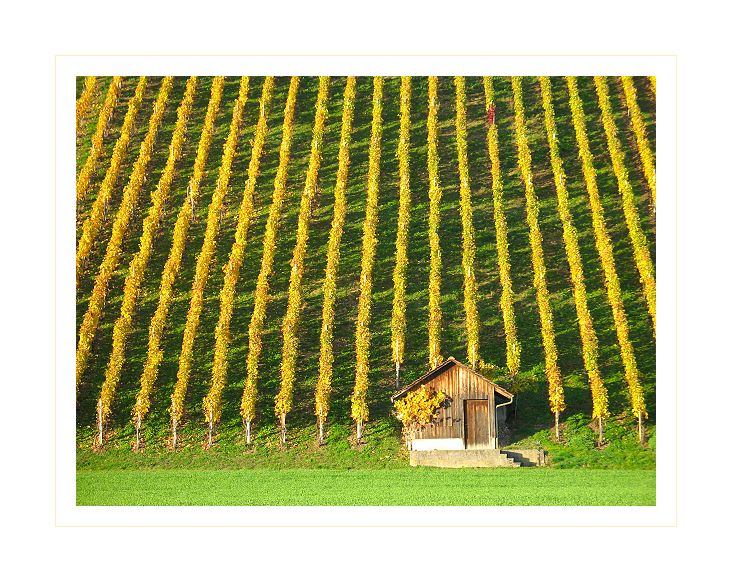 Herbst im Durchgangskanton