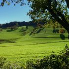 Herbst im Eggener Tal