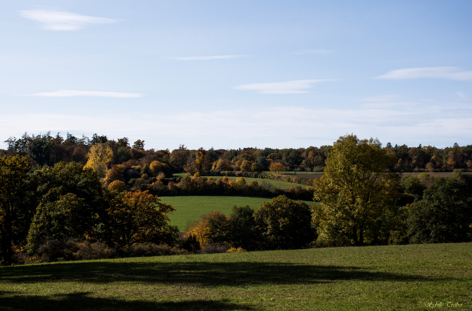 Herbst im Eichenhain