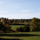 Herbst im Eichenhain