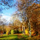 Herbst im Eicholz