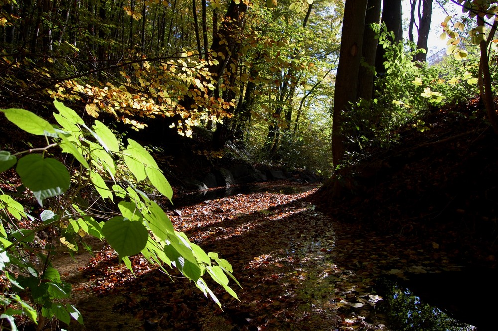 Herbst im Eichsfeld