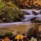 Herbst im Eifel