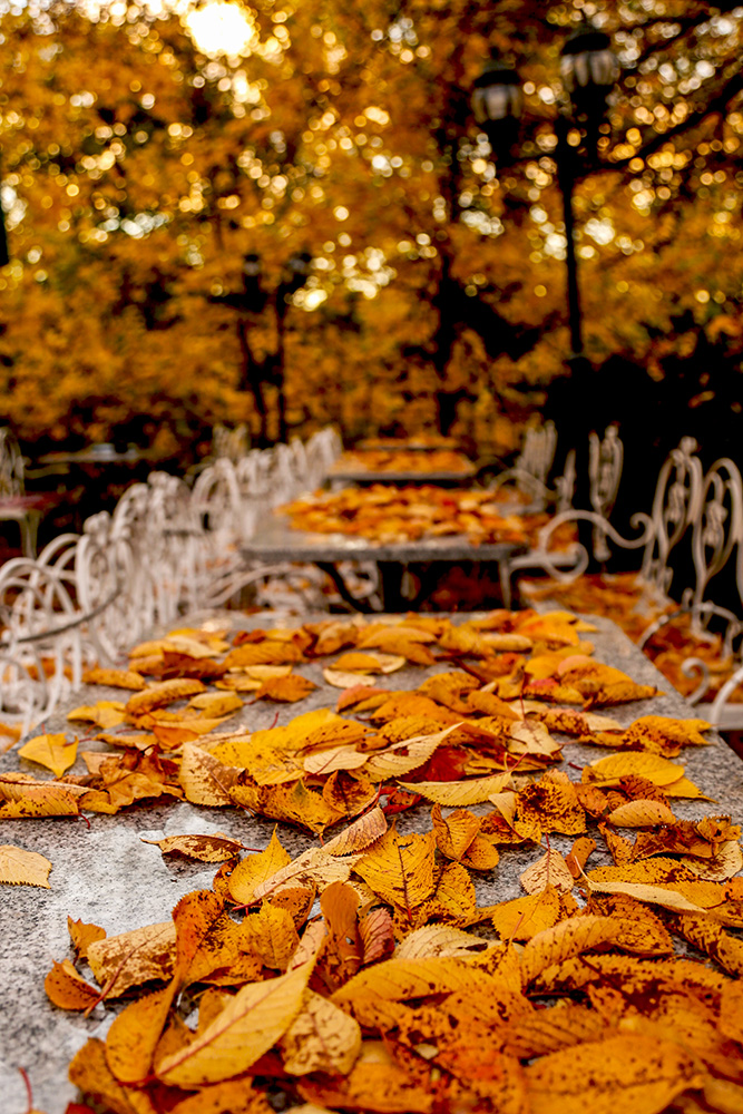 Herbst im Eiscafé