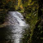 Herbst im Eistobel