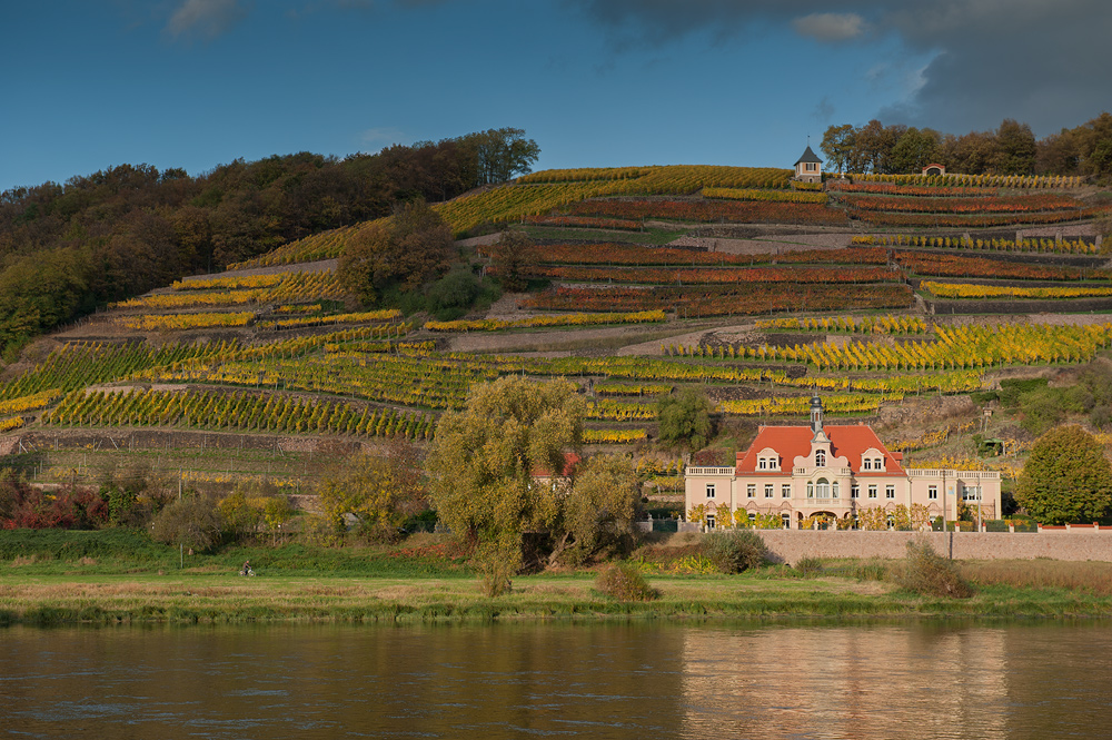 Herbst im Elbland