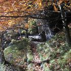 Herbst im Elbsandstein