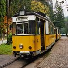 Herbst im Elbsandsteingebirge