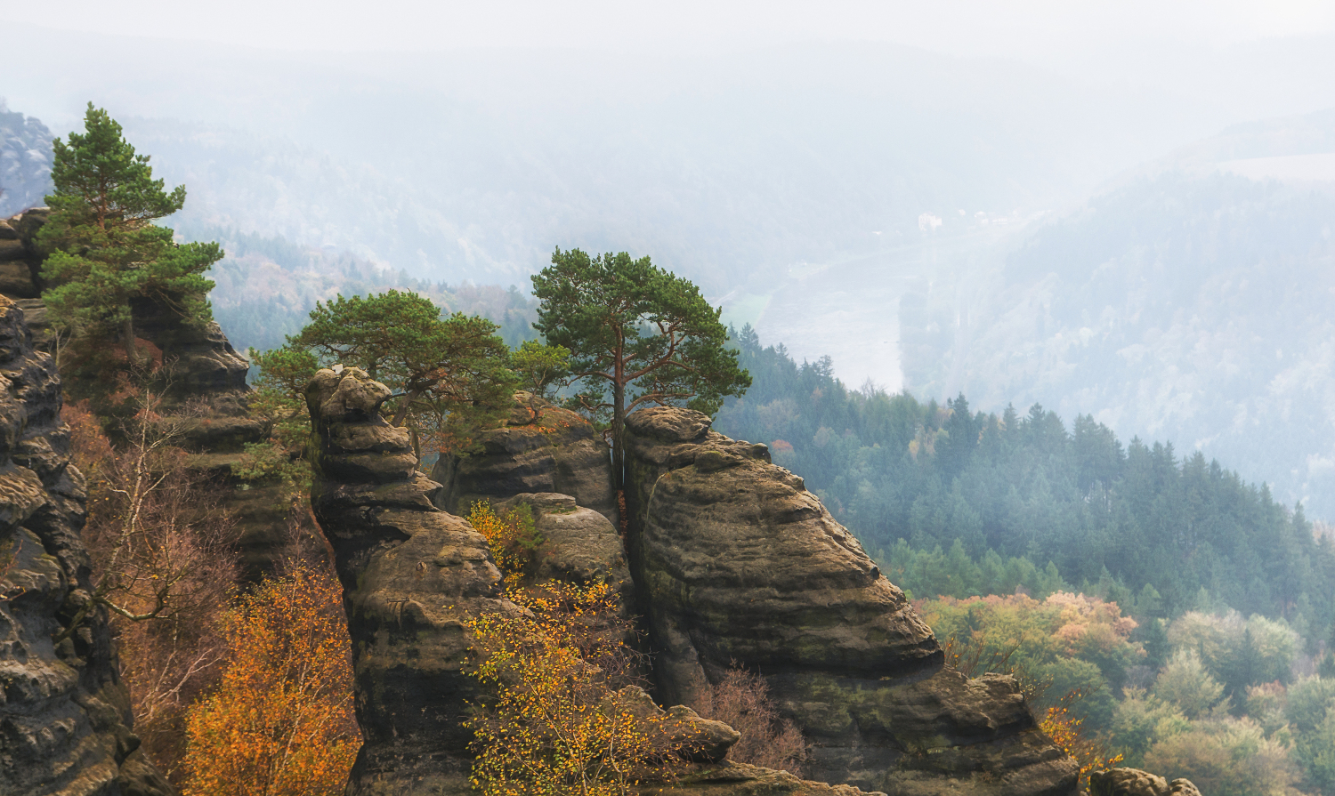 Herbst im Elbsandsteingebirge