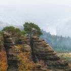 Herbst im Elbsandsteingebirge