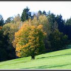 Herbst im Elbsansteingebirge