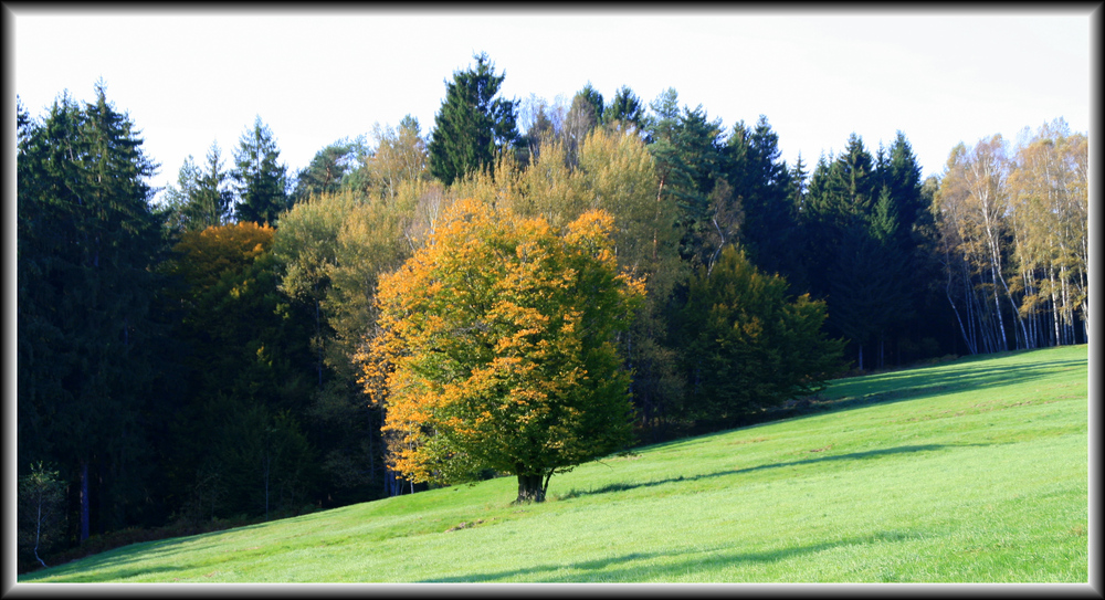 Herbst im Elbsansteingebirge