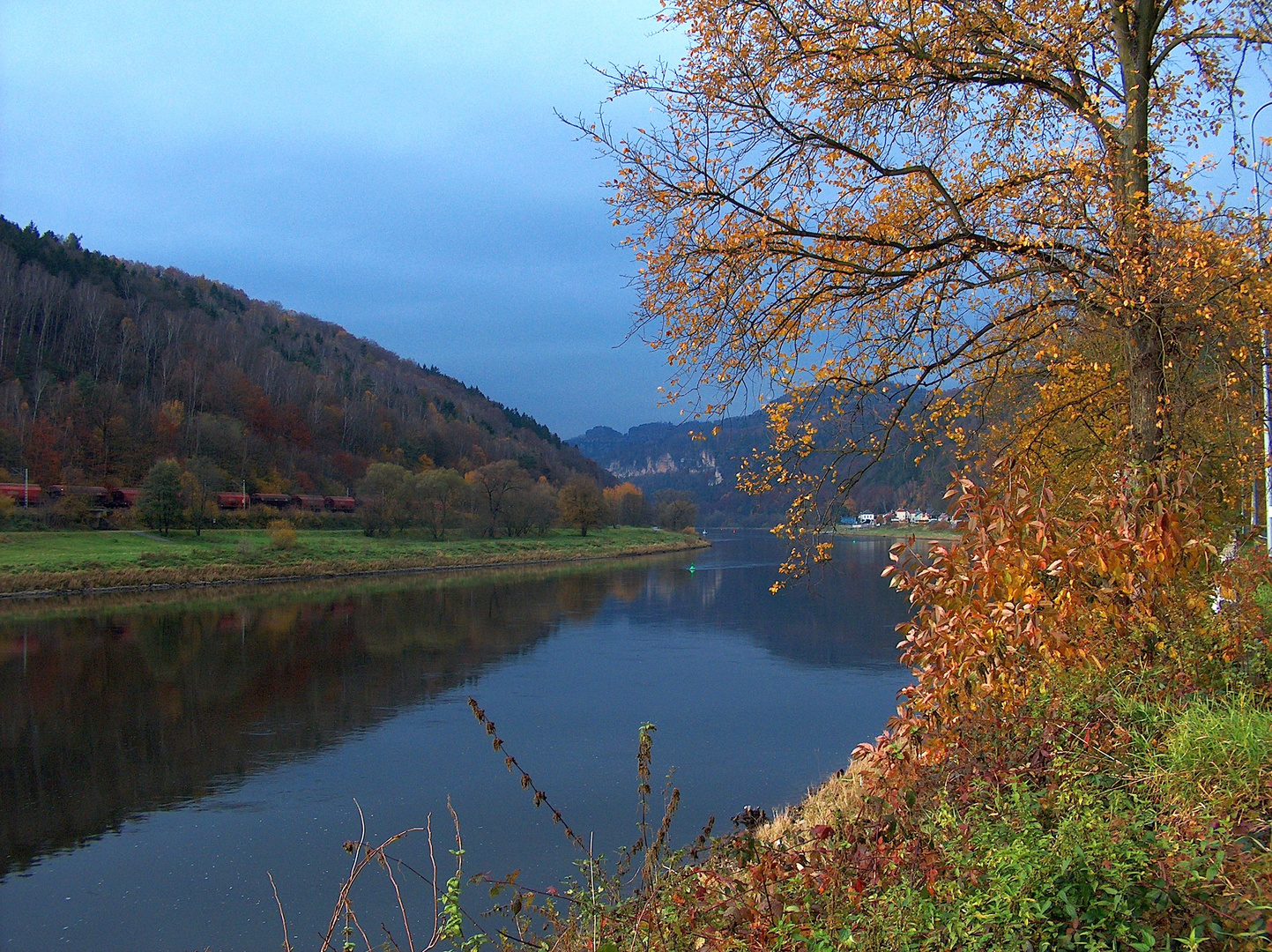 Herbst im Elbtal