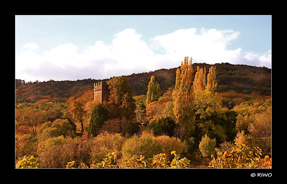 Herbst im Elsass .......