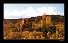 Herbst im Elsass .......