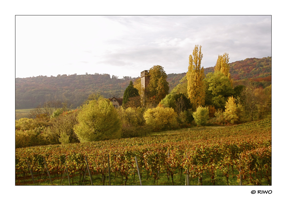 Herbst im Elsass bei Wissembourg.......