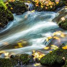 Herbst im Elstertal ( Vogtland ) 2