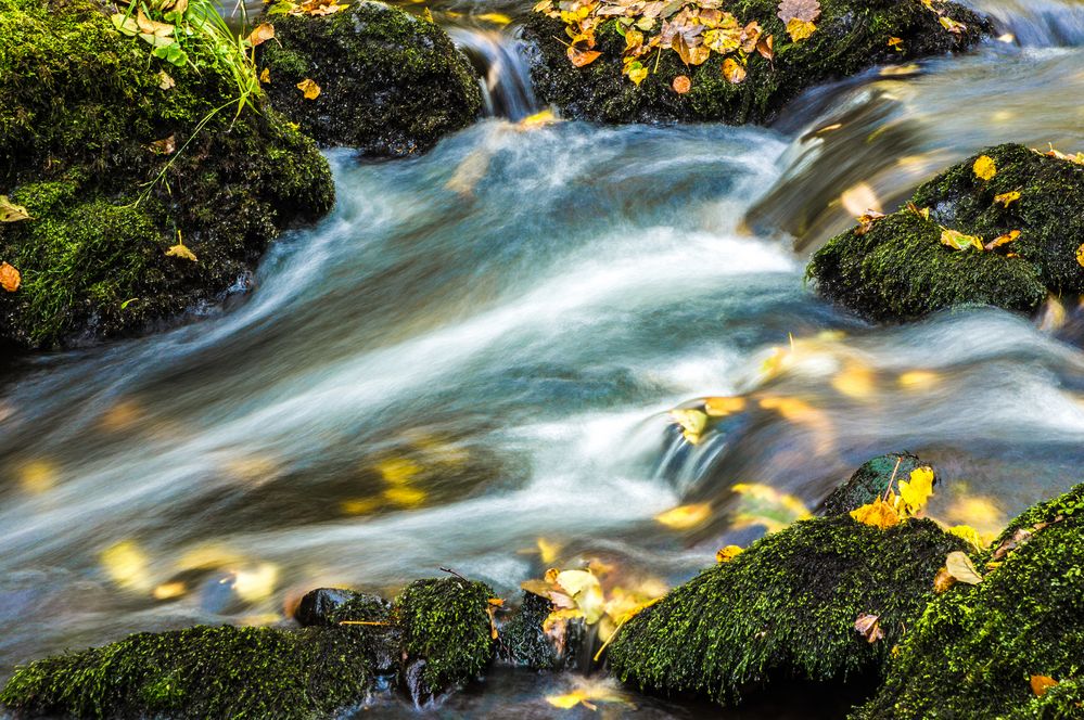 Herbst im Elstertal ( Vogtland ) 2