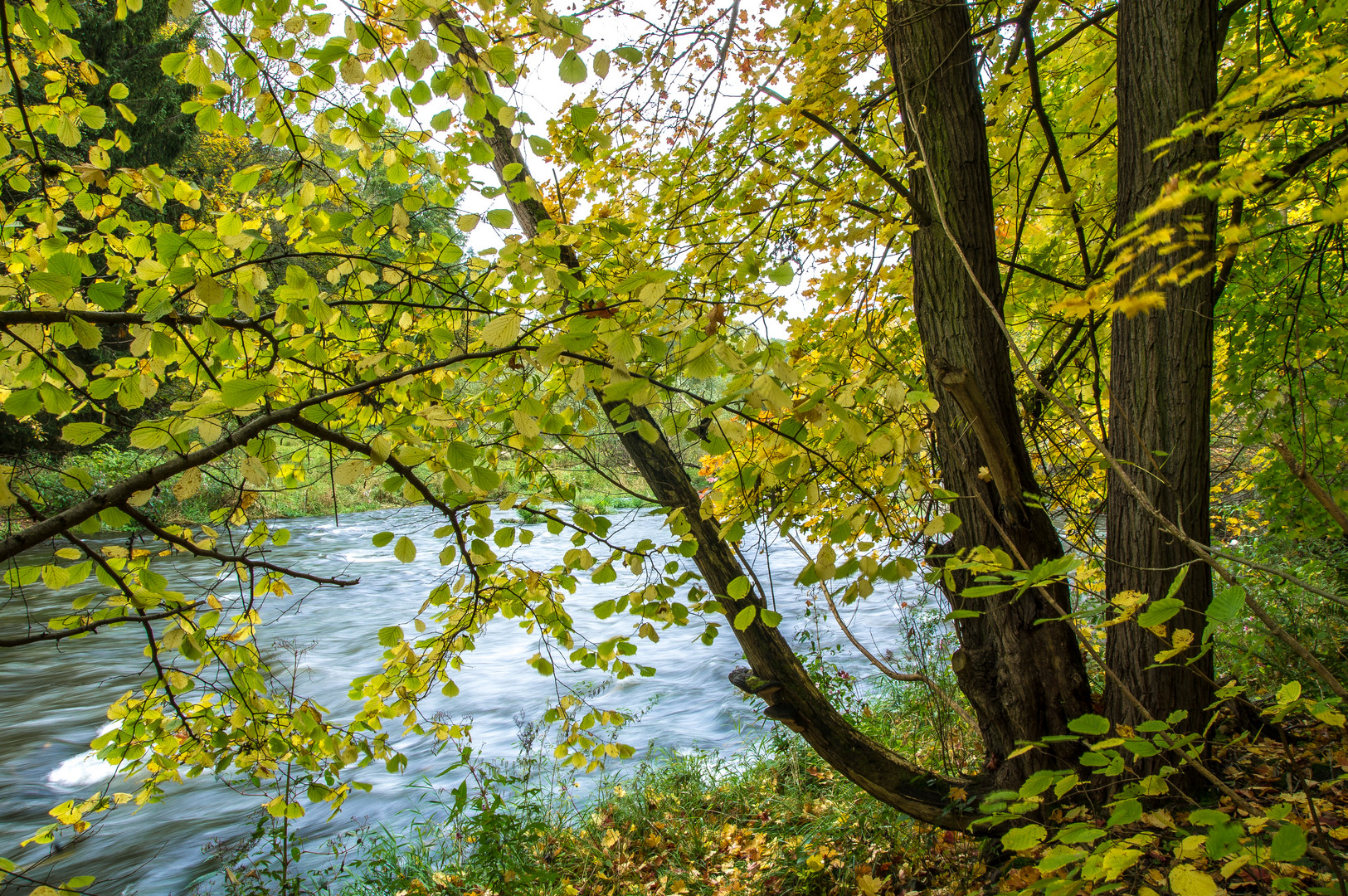 Herbst im Elstertal ( Vogtland ) 3