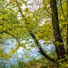 Herbst im Elstertal ( Vogtland ) 3