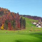 Herbst im Emmental