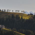 Herbst im Emmental