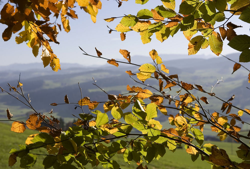 Herbst im Emmental