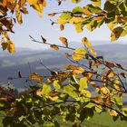 Herbst im Emmental