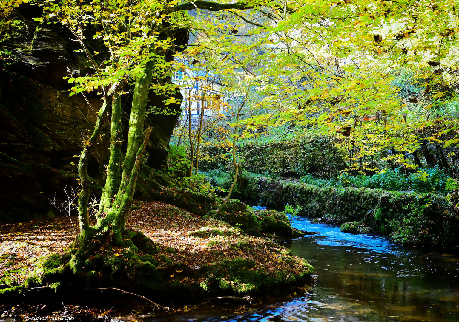 Herbst im Enderttal