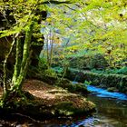 Herbst im Enderttal