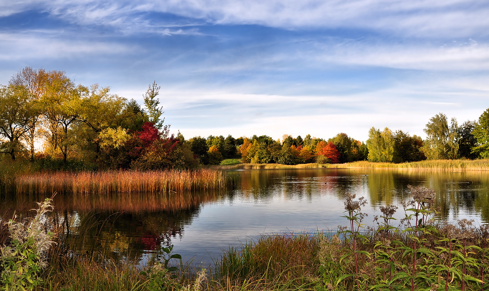 Herbst im Endspurt.....