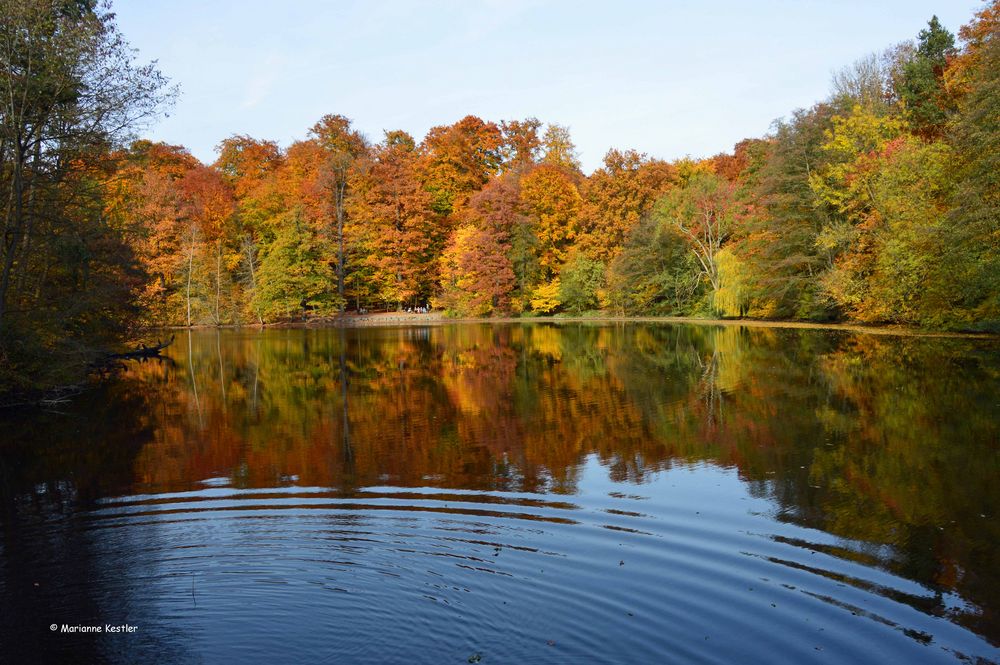 Herbst im Endspurt