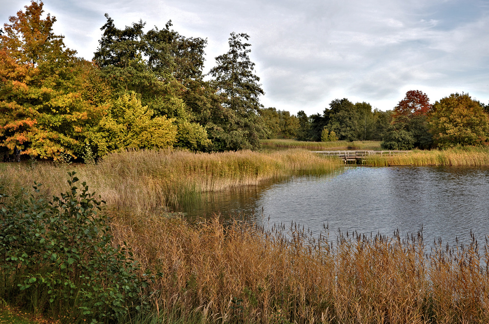 Herbst im Endspurt..........