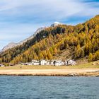 Herbst im Engadin 