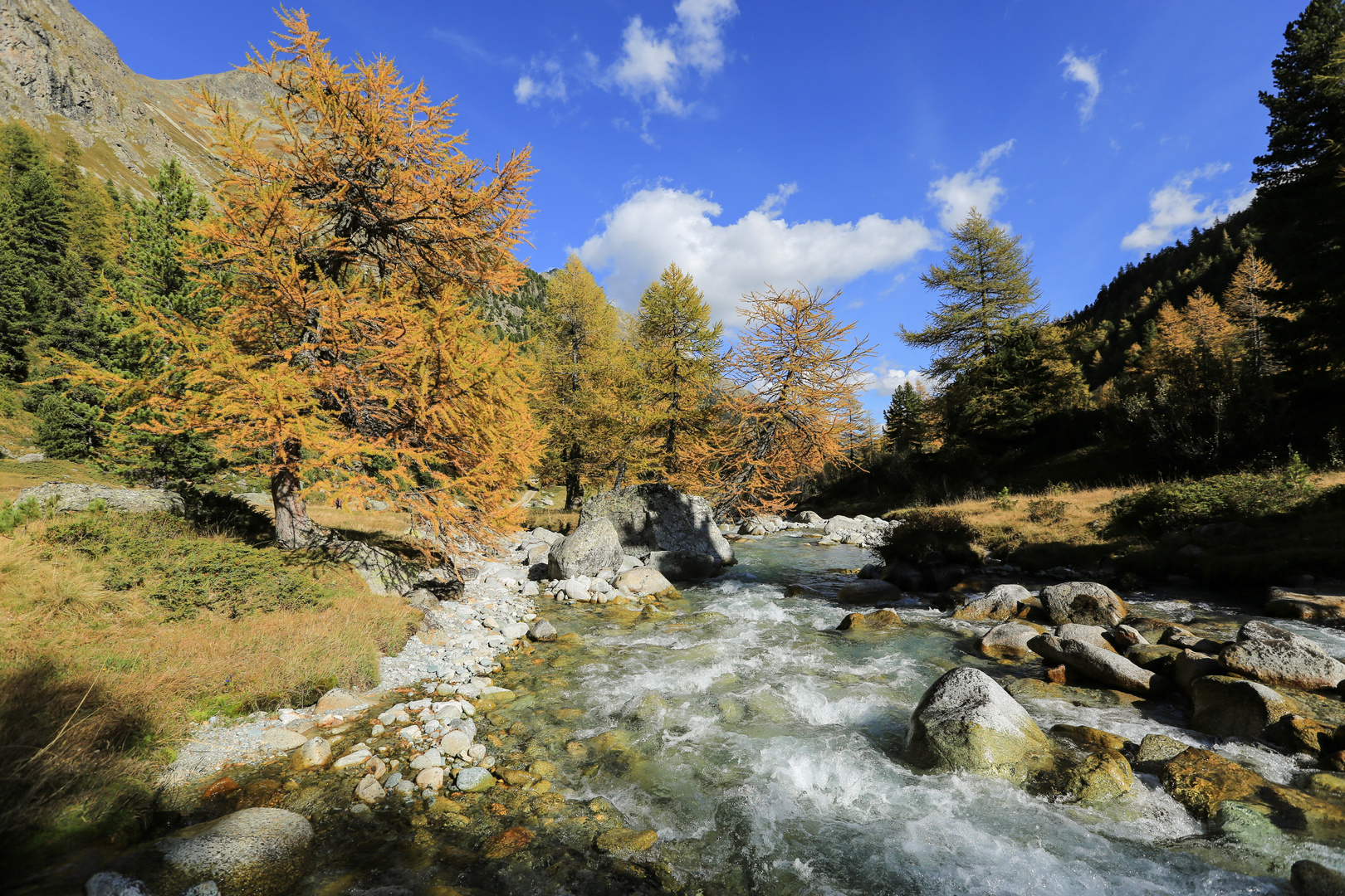 Herbst im Engadin (10)