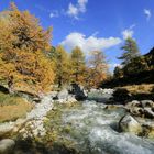 Herbst im Engadin (10)