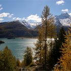 HERBST IM ENGADIN